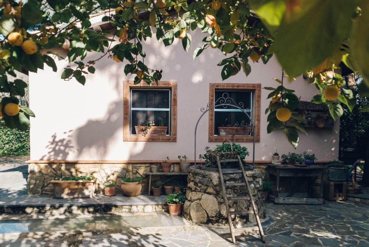 Villa Jacona Калтаджироне Екстериор снимка